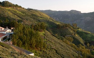 Tejeda, Canary Islands